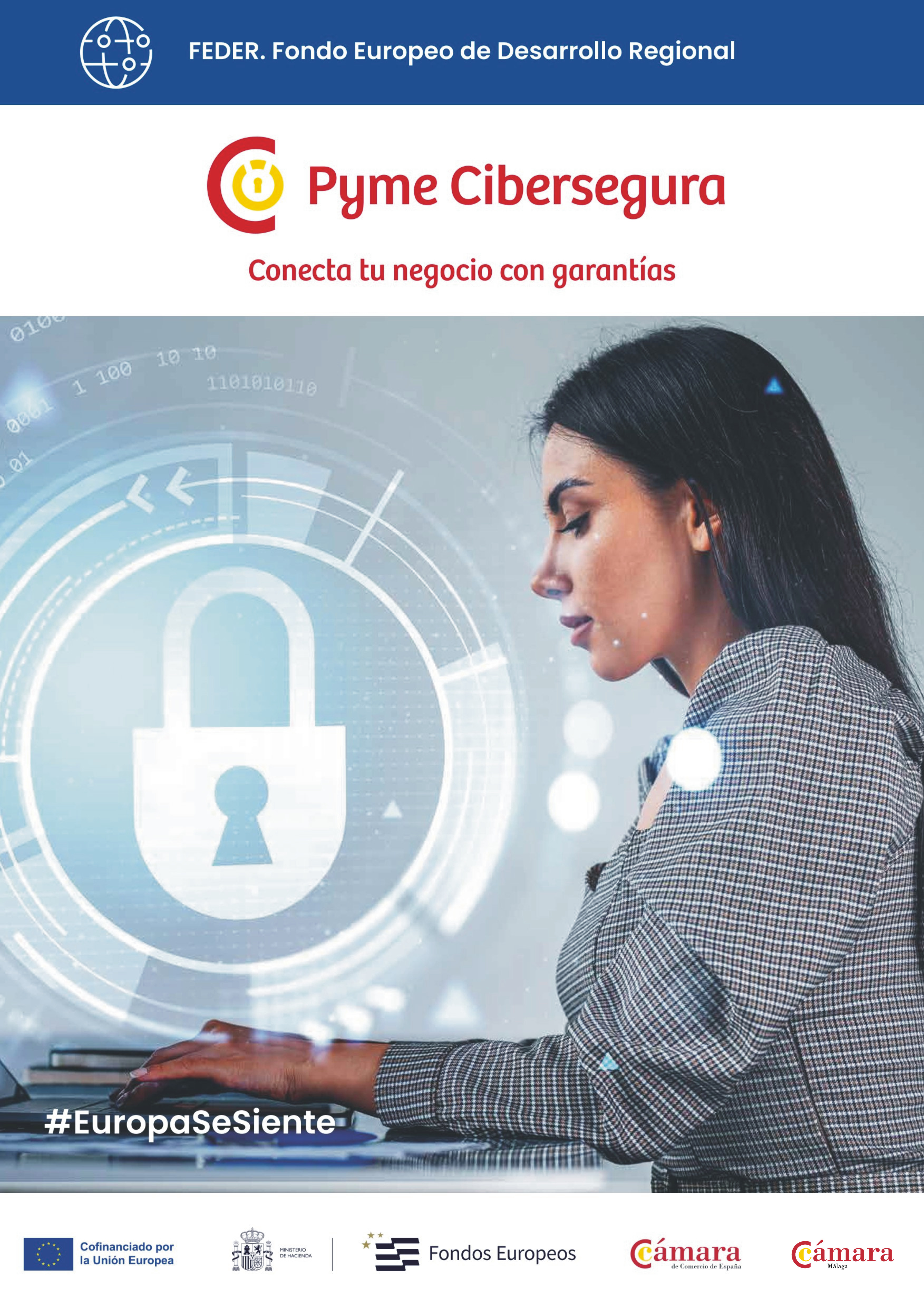 Pyme Cibersegura